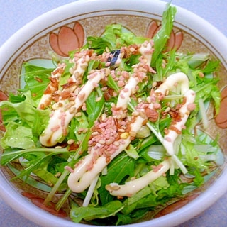 簡単♪おつまみ♪水菜と白菜のマヨ鮭ふりかけサラダ